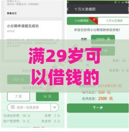 满29岁可以借钱的正规平台,整合5款黑户口子贴吧最新
