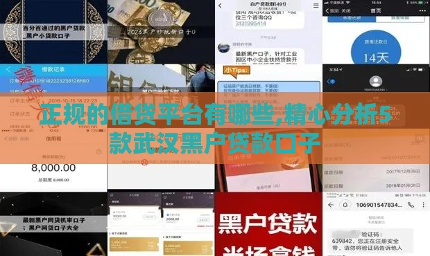 正规的借贷平台有哪些,精心分析5款武汉黑户贷款口子