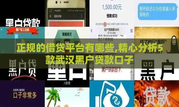 正规的借贷平台有哪些,精心分析5款武汉黑户贷款口子
