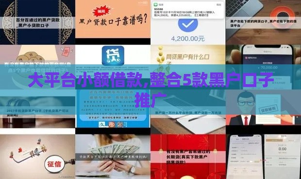 大平台小额借款,整合5款黑户口子推广
