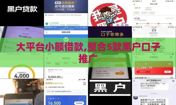 大平台小额借款,整合5款黑户口子推广