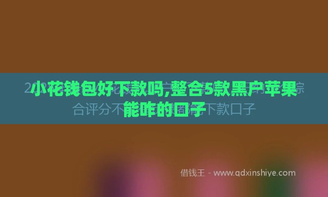 小花钱包好下款吗,整合5款黑户苹果能咋的口子