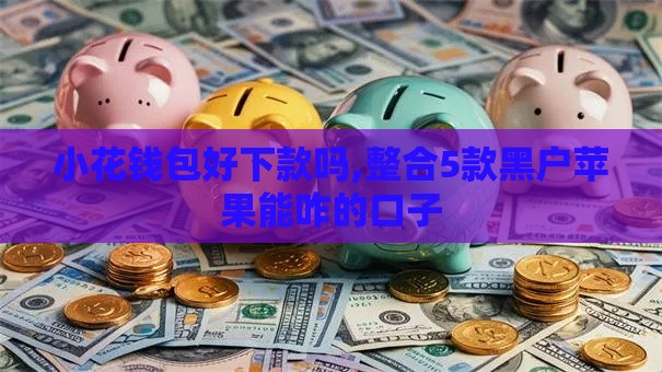 小花钱包好下款吗,整合5款黑户苹果能咋的口子