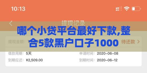 哪个小贷平台最好下款,整合5款黑户口子1000