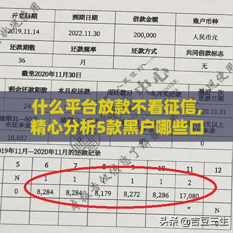 什么平台放款不看征信,精心分析5款黑户哪些口子放款