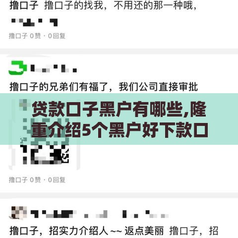 贷款口子黑户有哪些,隆重介绍5个黑户好下款口子