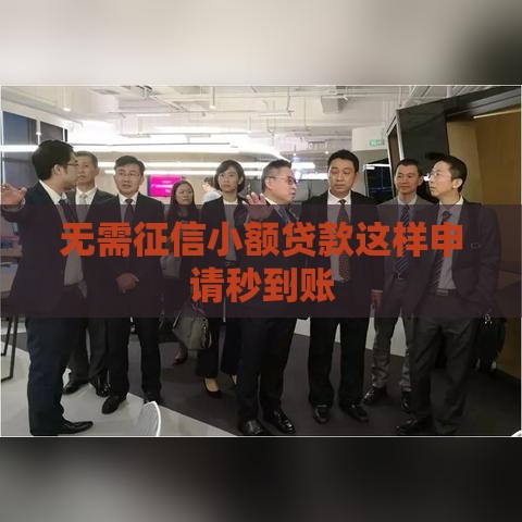 无需征信小额贷款这样申请秒到账