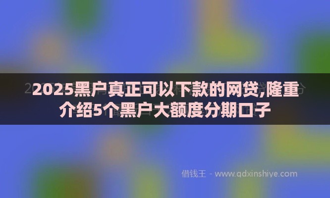 2025黑户真正可以下款的网贷,隆重介绍5个黑户大额度分期口子