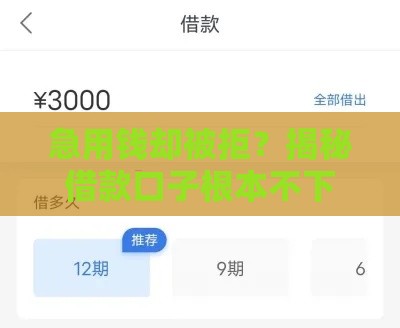 急用钱却被拒？揭秘借款口子根本不下款的三大真相