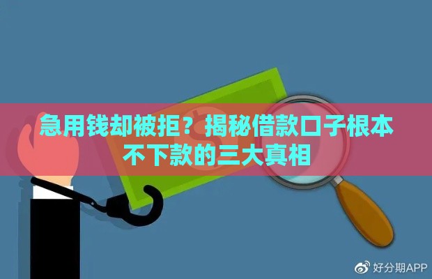 急用钱却被拒？揭秘借款口子根本不下款的三大真相