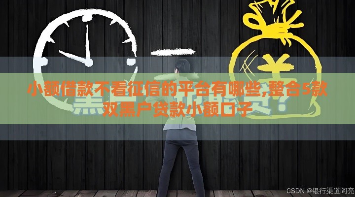 小额借款不看征信的平台有哪些,整合5款双黑户贷款小额口子