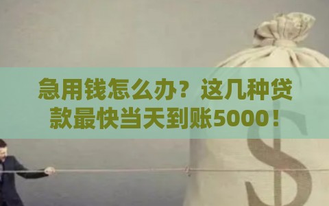 急用钱怎么办？这几种贷款最快当天到账5000！