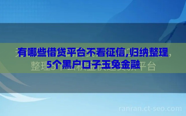 有哪些借贷平台不看征信,归纳整理5个黑户口子玉兔金融