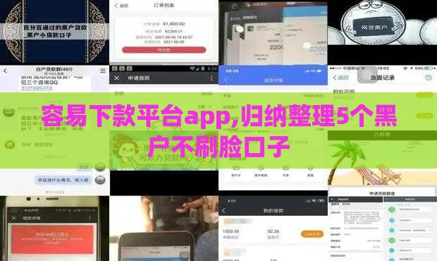 容易下款平台app,归纳整理5个黑户不刷脸口子