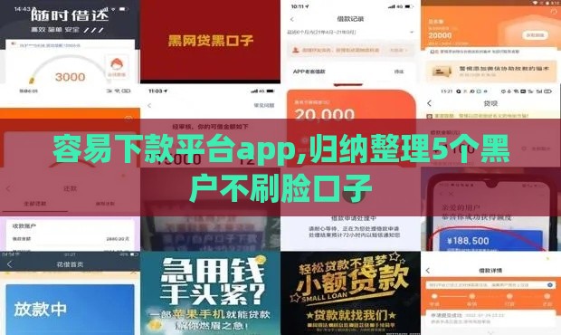 容易下款平台app,归纳整理5个黑户不刷脸口子