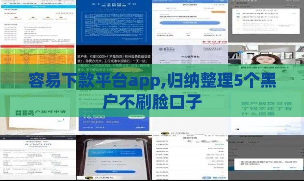 容易下款平台app,归纳整理5个黑户不刷脸口子