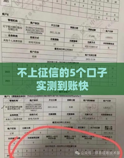 不上征信的5个口子实测到账快