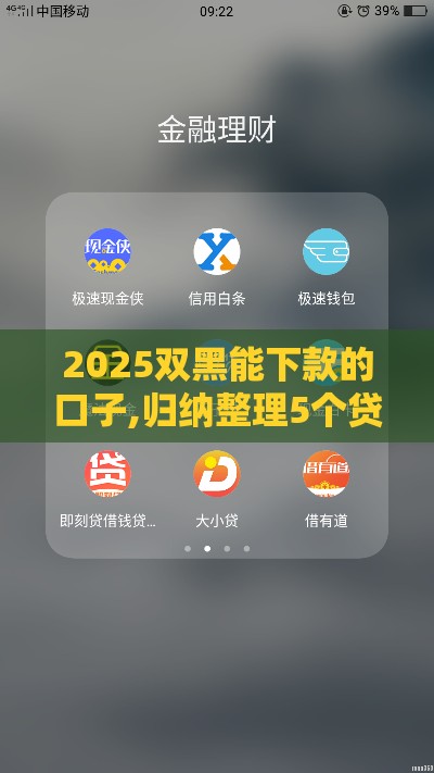 2025双黑能下款的口子,归纳整理5个贷款快的口子黑户
