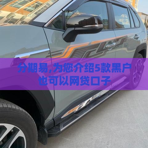 分期易,为您介绍5款黑户也可以网贷口子