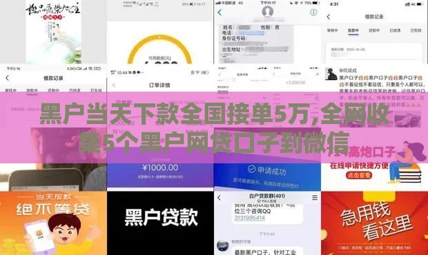 黑户当天下款全国接单5万,全网收集5个黑户网贷口子到微信
