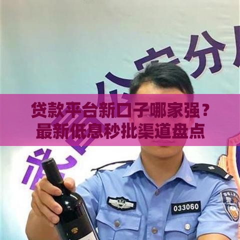 贷款平台新口子哪家强？最新低息秒批渠道盘点