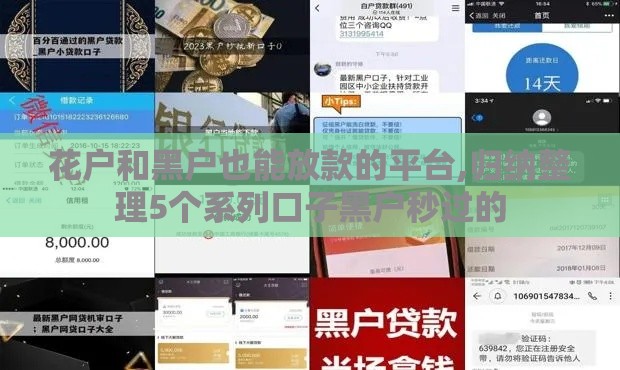 花户和黑户也能放款的平台,归纳整理5个系列口子黑户秒过的