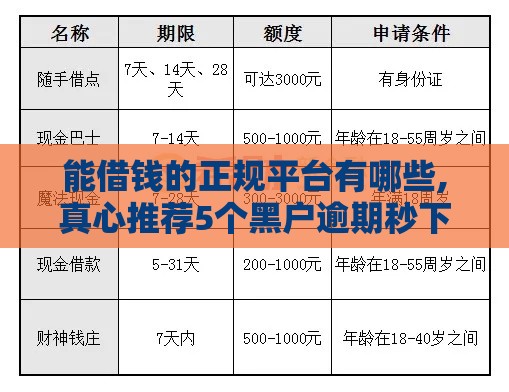 能借钱的正规平台有哪些,真心推荐5个黑户逾期秒下口子