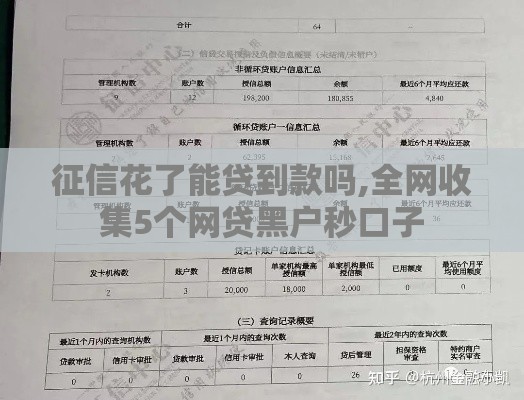 征信花了能贷到款吗,全网收集5个网贷黑户秒口子