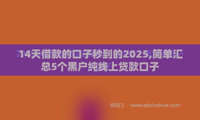 14天借款的口子秒到的2025,简单汇总5个黑户纯线上贷款口子
