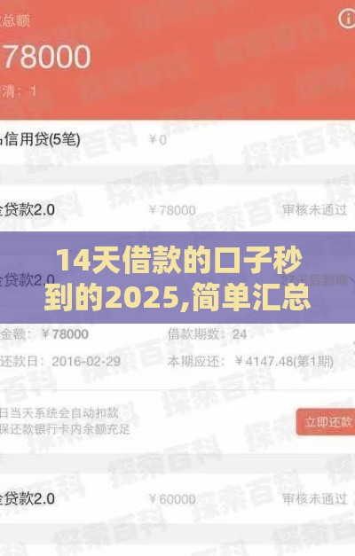 14天借款的口子秒到的2025,简单汇总5个黑户纯线上贷款口子