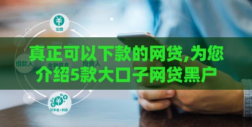 真正可以下款的网贷,为您介绍5款大口子网贷黑户