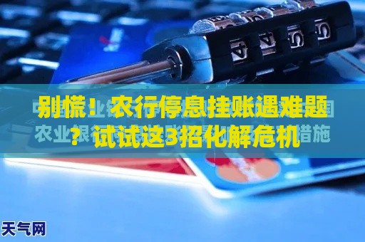 别慌！农行停息挂账遇难题？试试这3招化解危机