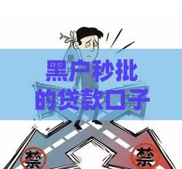 黑户秒批的贷款口子,精心分析5款今天的黑户口子