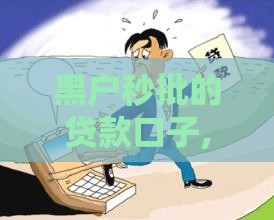 黑户秒批的贷款口子,精心分析5款今天的黑户口子