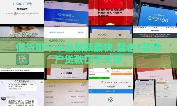 借贷哪个平台放款最快,整合5款黑户贷款口子天津
