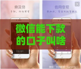 微信能下款的口子叫啥？实测5个靠谱平台 最快3分钟到账！