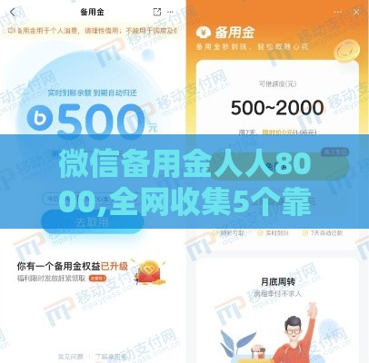 微信备用金人人8000,全网收集5个靠谱的黑户网贷口子