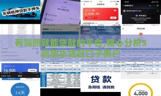 有驾照就能贷款的平台,精心分析5款放水贷款口子黑户