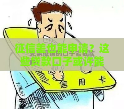 征信差也能申请？这些贷款口子或许能帮到你！