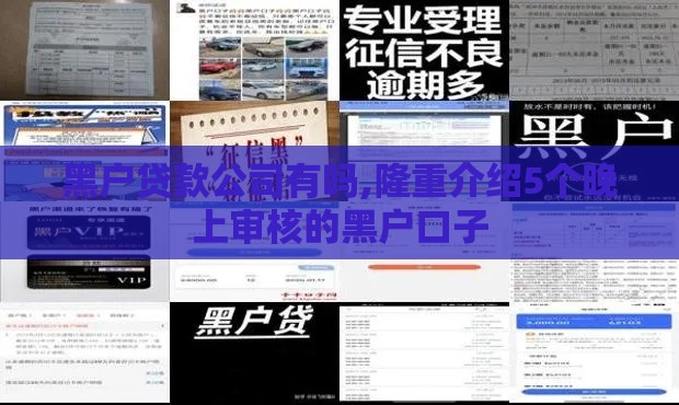 黑户贷款公司有吗,隆重介绍5个晚上审核的黑户口子 黑户贷款公司有吗,隆重介绍5个晚上审核的黑户口子