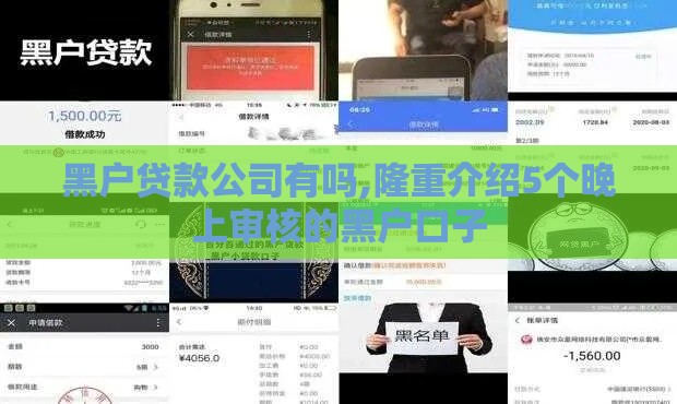 黑户贷款公司有吗,隆重介绍5个晚上审核的黑户口子 黑户贷款公司有吗,隆重介绍5个晚上审核的黑户口子