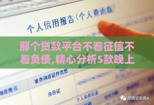 那个贷款平台不看征信不看负债,精心分析5款晚上黑户包下的口子