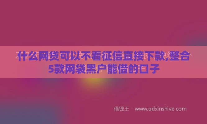 什么网贷可以不看征信直接下款,整合5款网袋黑户能借的口子