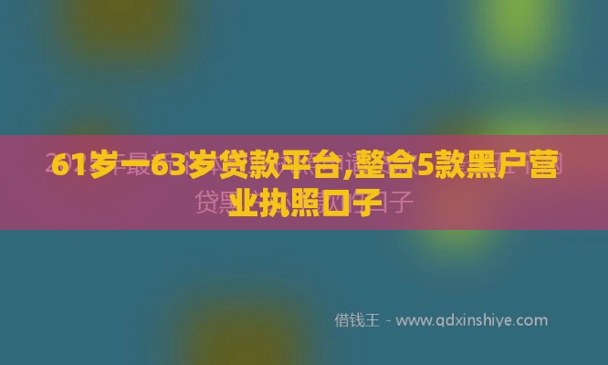 61岁一63岁贷款平台,整合5款黑户营业执照口子