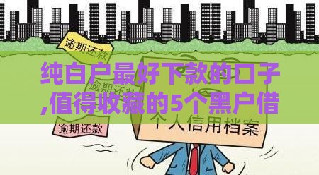 纯白户最好下款的口子,值得收藏的5个黑户借款口子