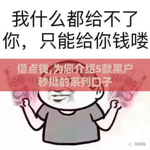 借点钱,为您介绍5款黑户秒批的系列口子