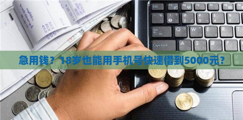 急用钱？18岁也能用手机号快速借到5000元？