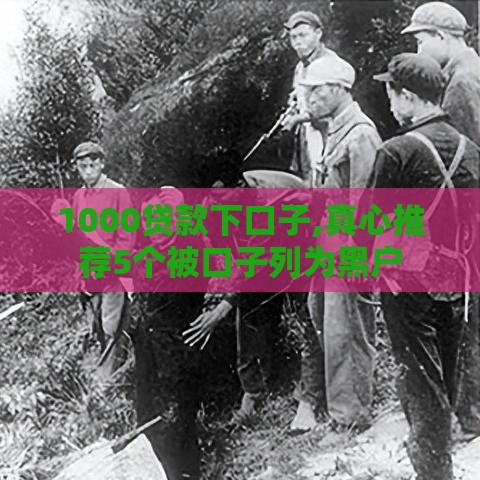 1000贷款下口子,真心推荐5个被口子列为黑户