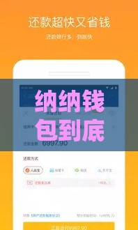 纳纳钱包到底在哪个口子里？贷款攻略全解析