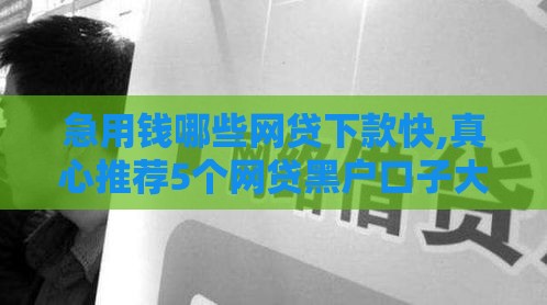 急用钱哪些网贷下款快,真心推荐5个网贷黑户口子大全